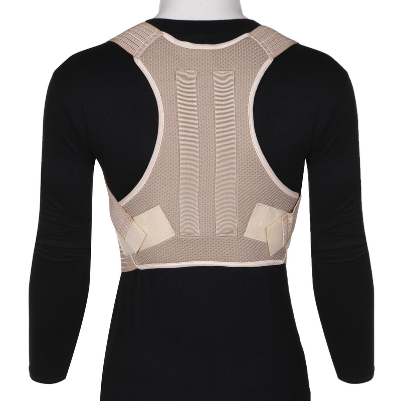 خرید و قیمت قوزبند درمان طب هانی کد 3014