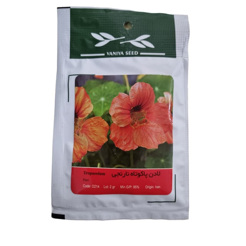 بذر گل لادن پاکوتاه نارنجی وانیا سید مدل BA155