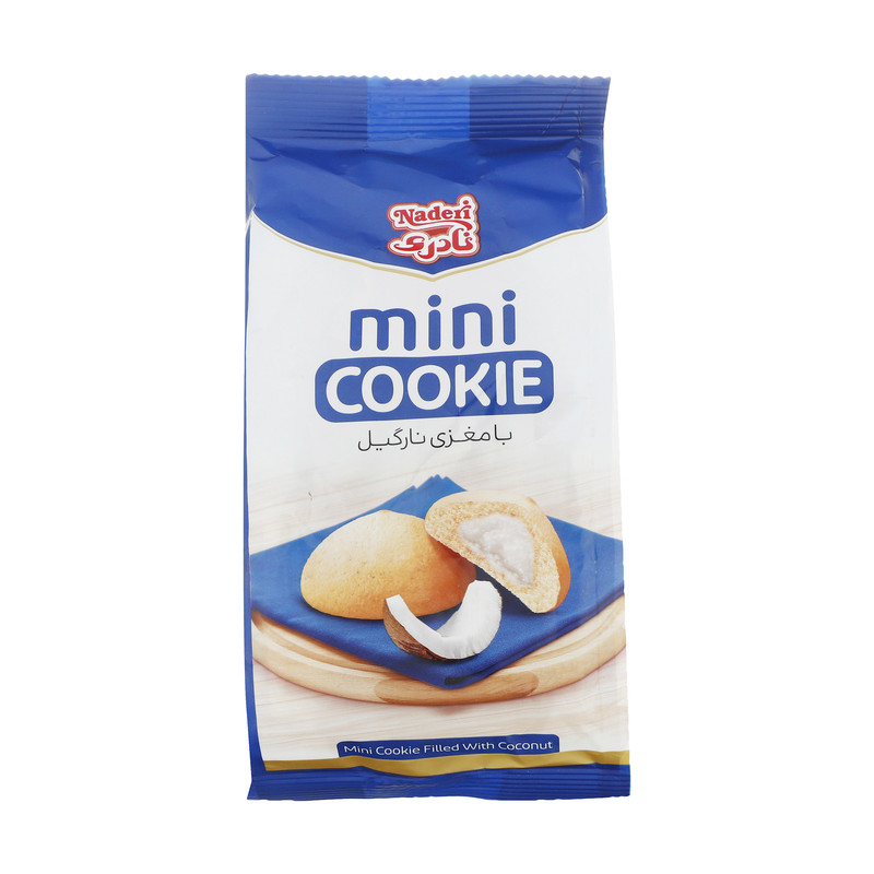مینی کوکی با مغزی نارگیل نادری - 110 گرم