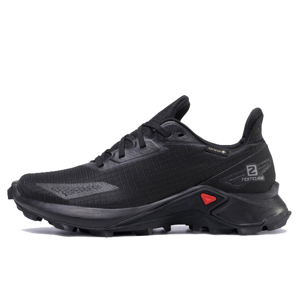 کفش مخصوص دویدن مردانه سالومون مدل Alphacross Blast Gtx GORE-TEX