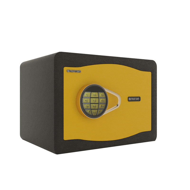 خرید و قیمت صندوق الکترونیکی تراست سیف مدل 25CRH