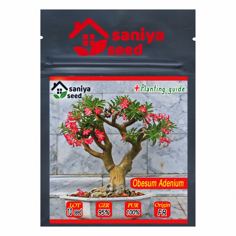 خرید و قیمت بذر بنسای آدنیوم ابسوم سانیا سید مدل 10