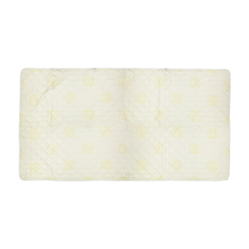 محافظ تشک نرم آسا مدل C1 دو نفره