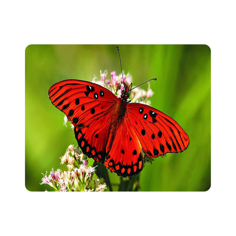 ماوس پد طرح گل و پروانه مدل T8096