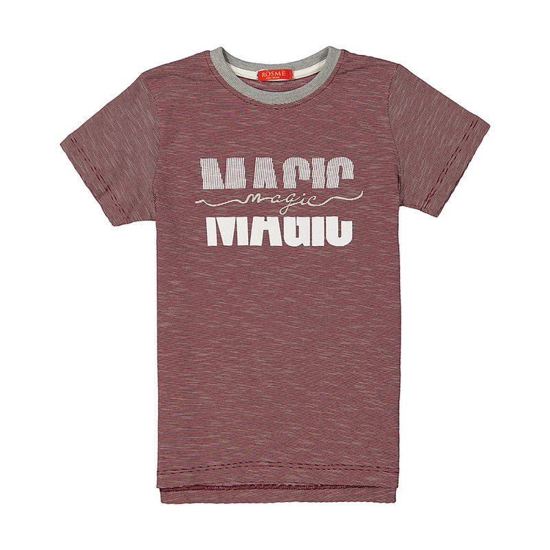 خرید و قیمت تی شرت آستین کوتاه پسرانه رُزمی مدل mo847