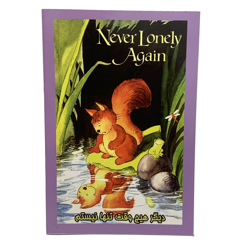 خرید و قیمت کتاب دیگر هیچوقت تنها نیستم اثر هانس ویلهلم انتشارات درخت زندگی