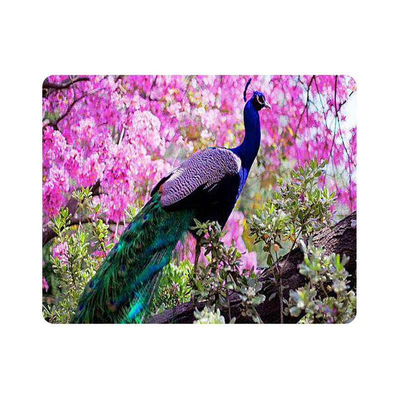 ماوس پد طرح پرنده طاووس و گل مدل T9091