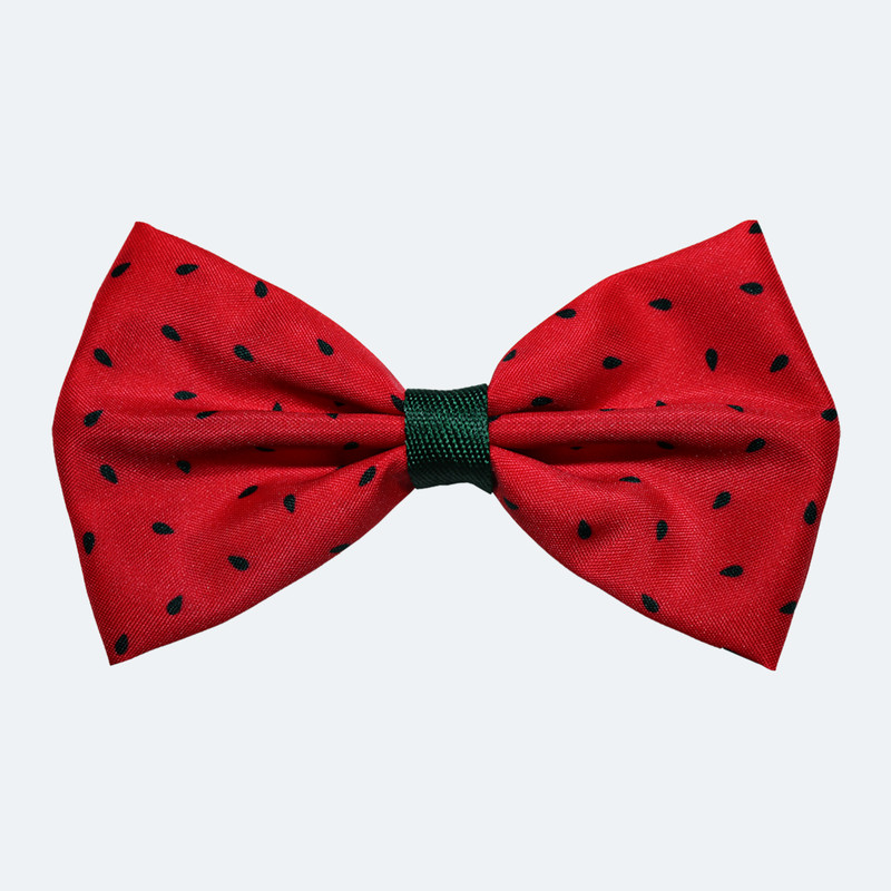 پاپیون مردانه مدل هندوانه کد 109