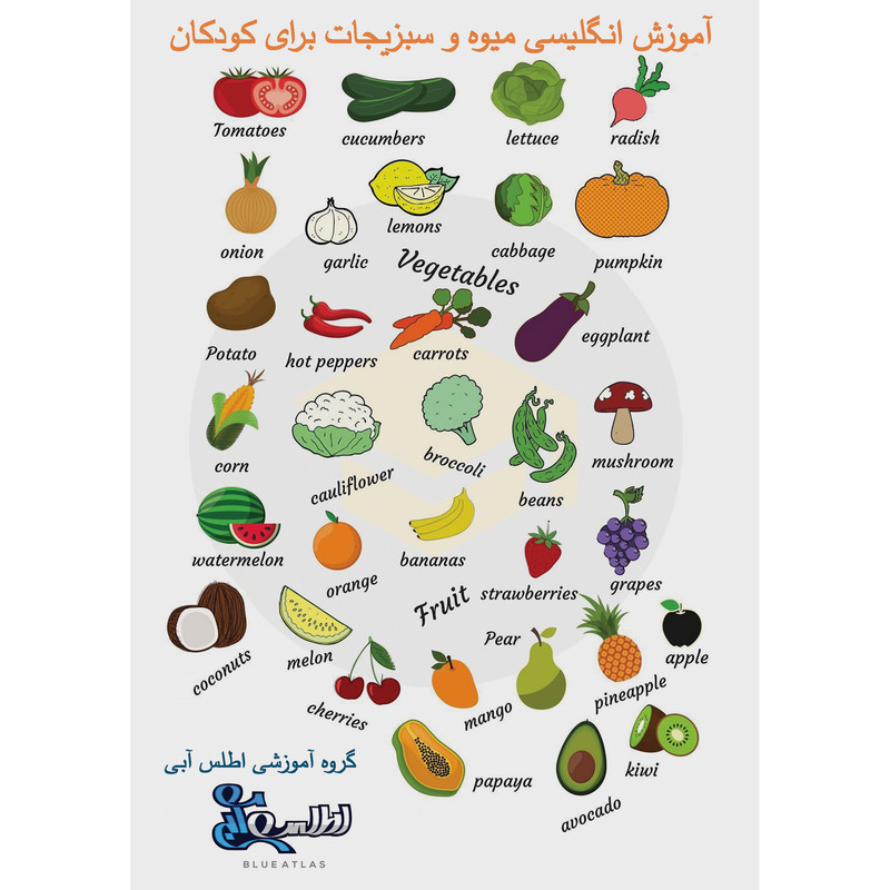 بازی آموزشی انگلیسی اطلس آبی طرح میوه ها و سبزیجات مدل TE1007
