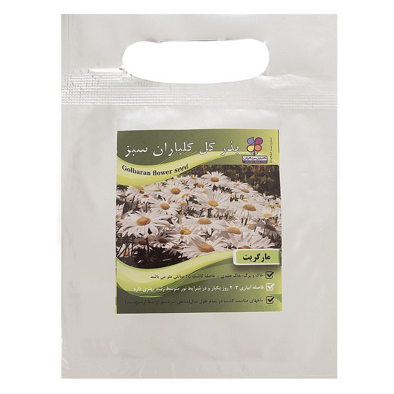 بذر گل مارگریت شرکت گلباران سبز گیلان