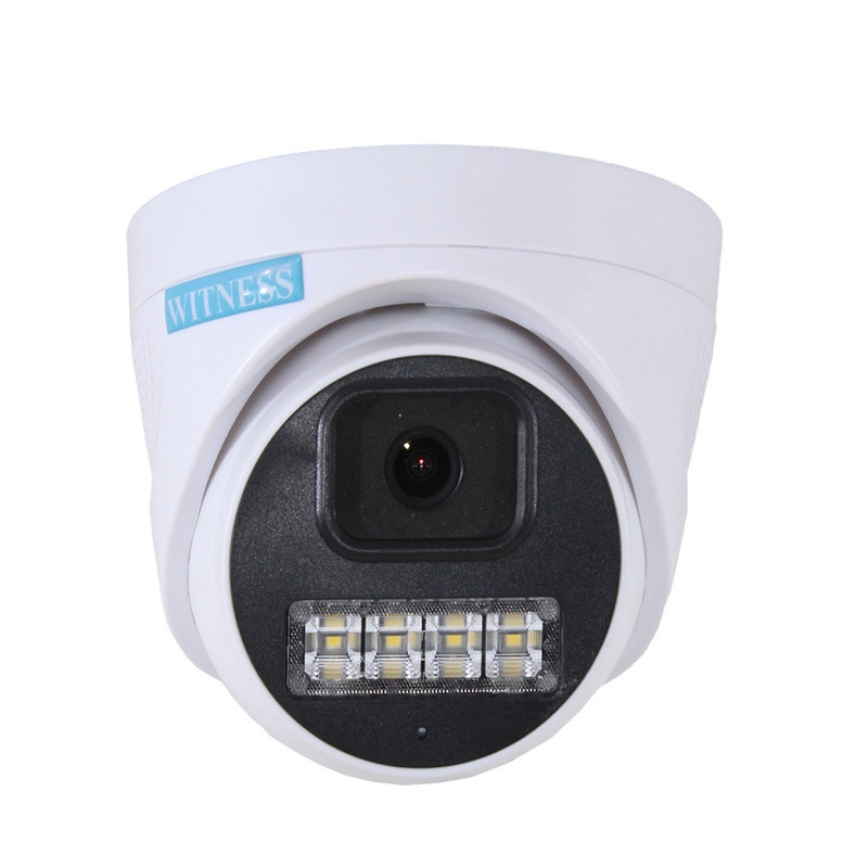دوربین مداربسته آنالوگ ویتنس مدل WS-501DWM+MIC