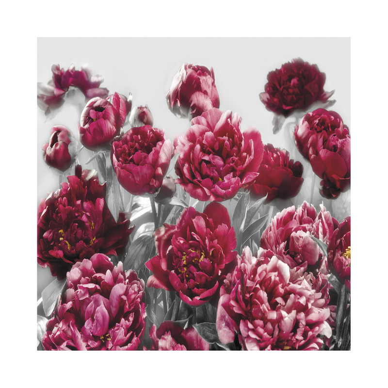 خرید و قیمت پوستر دیواری کومار مدل XXL4-002