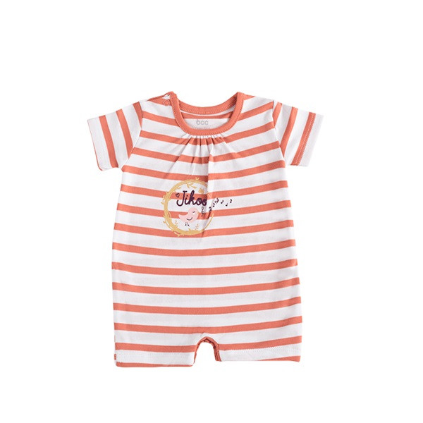 سرهمی نوزادی بی سی سی طرح Little bird