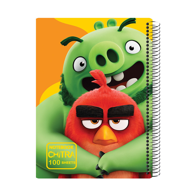 خرید و قیمت دفتر مشق 100 برگ انتشارات چیترا طرح انگری برد کد 4
