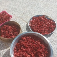 گوجه خشک 100گرمی ایسلایسری قرمز وخوش رنگ(مستقیم از تولید کننده)