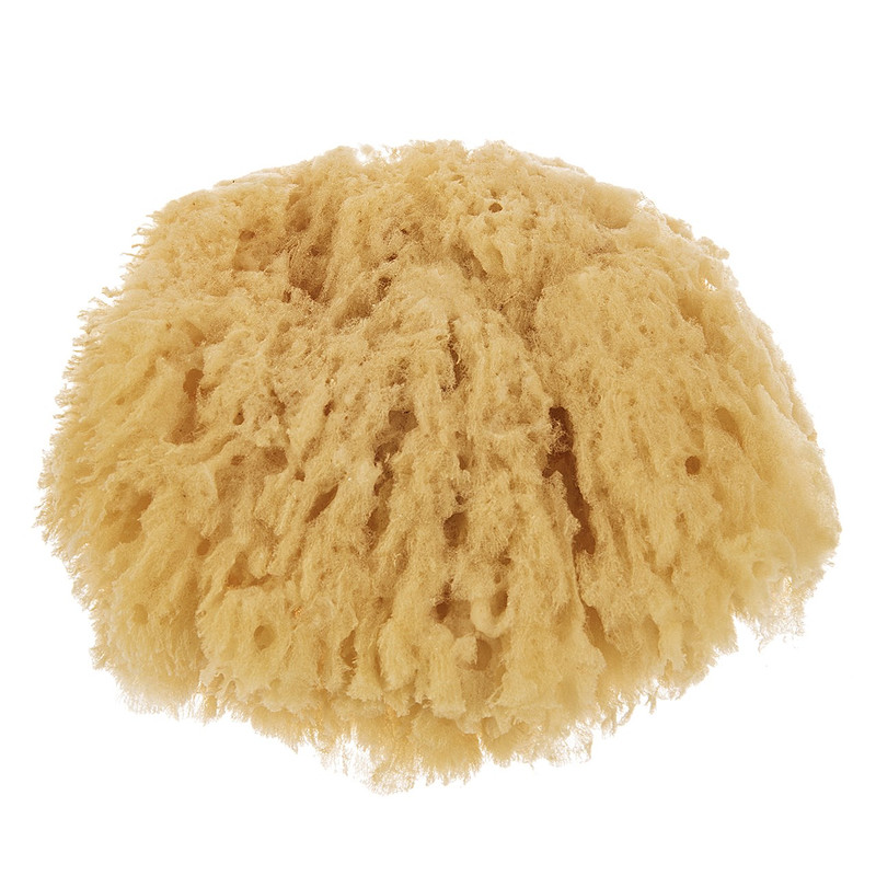 خرید و قیمت اسفنج شست و شوی بدن سوآوی پیل سری Natural مدل Sea