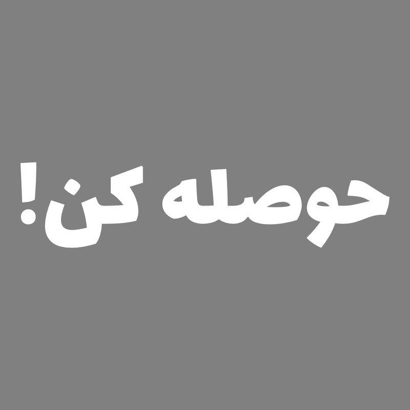 برچسب بدنه خودرو طرح حوصله کن کد MT-W420