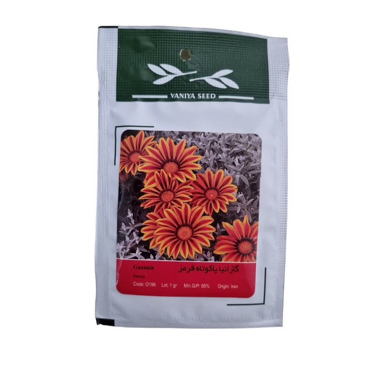 بذر گل گازانیا پاکوتاه قرمز وانیا سید مدل BA1521