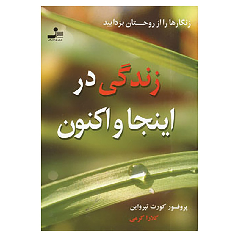 خرید و قیمت کتاب زندگی در اینجا و اکنون اثر کورت تپرواین