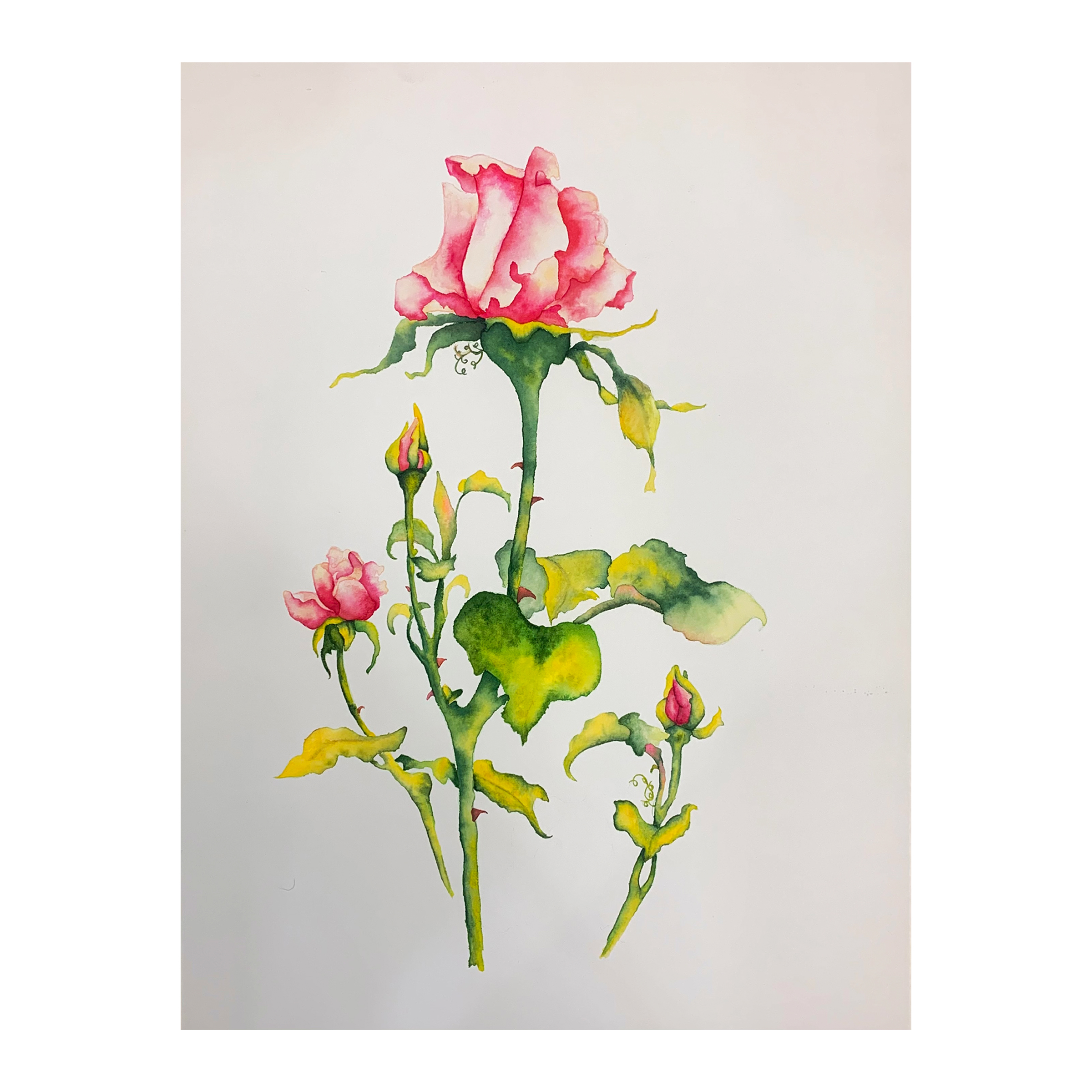 تابلو نقاشی آبرنگ طرح گل