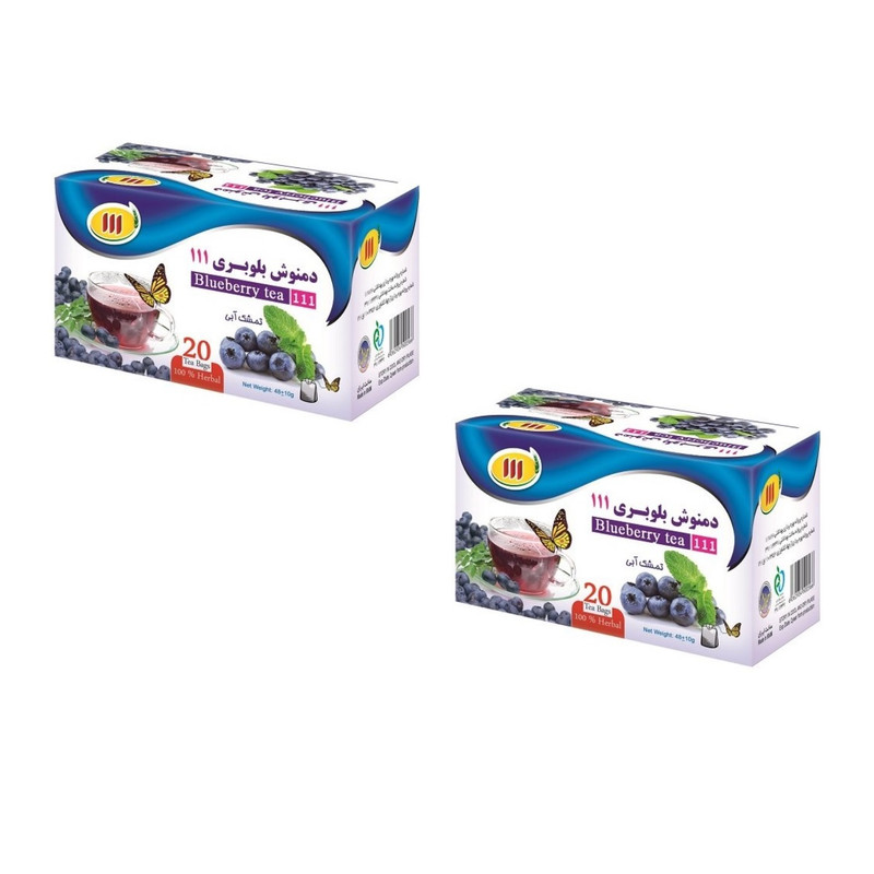 دمنوش بلوبری 111 - 48 گرم بسته 2 عددی