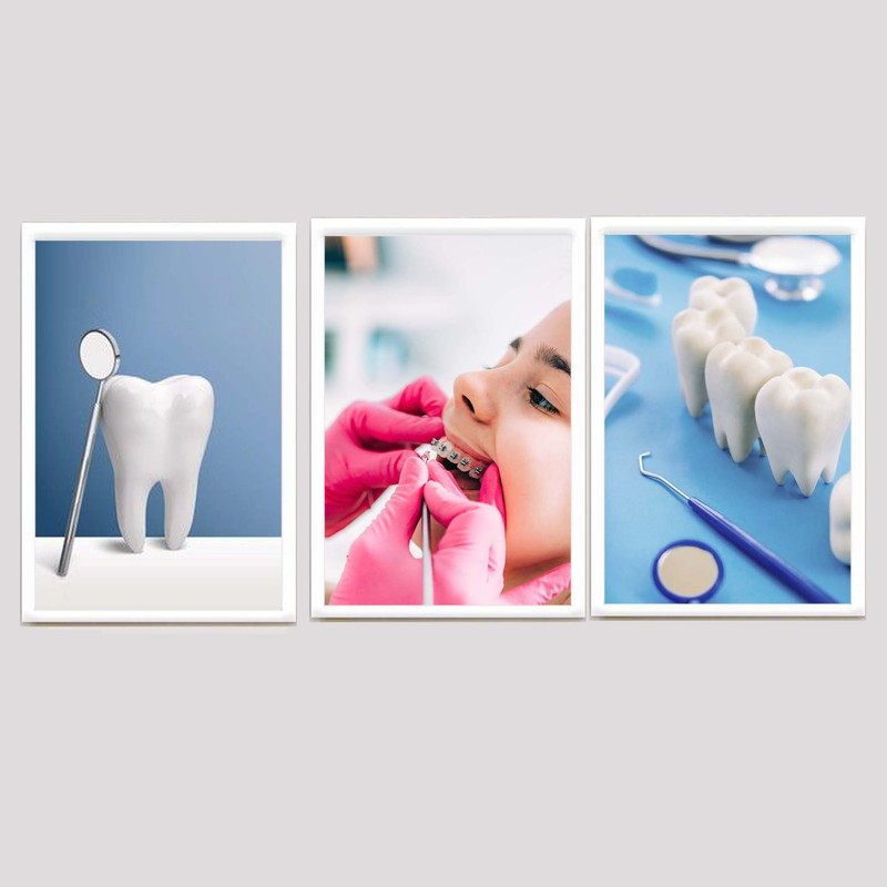 تابلو مدل دندانپزشکی کد 78 مجموعه 3 عددی