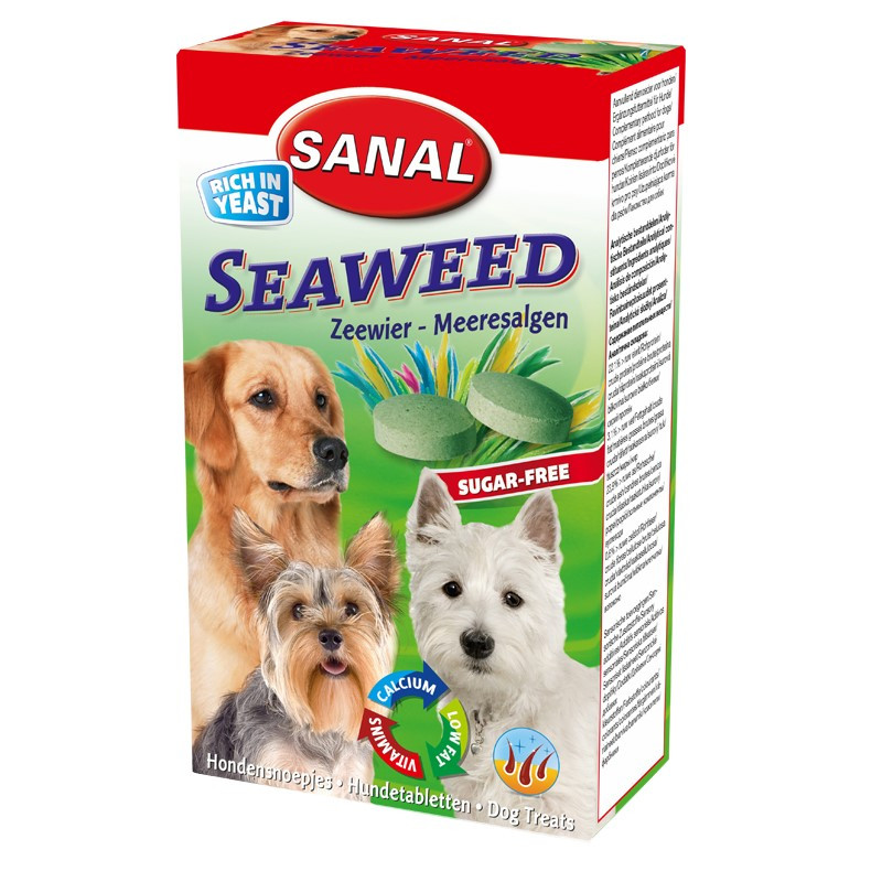 خرید و قیمت تشویقی سگ سانال مدل جلبک دریایی Seaweed وزن 100 گرم