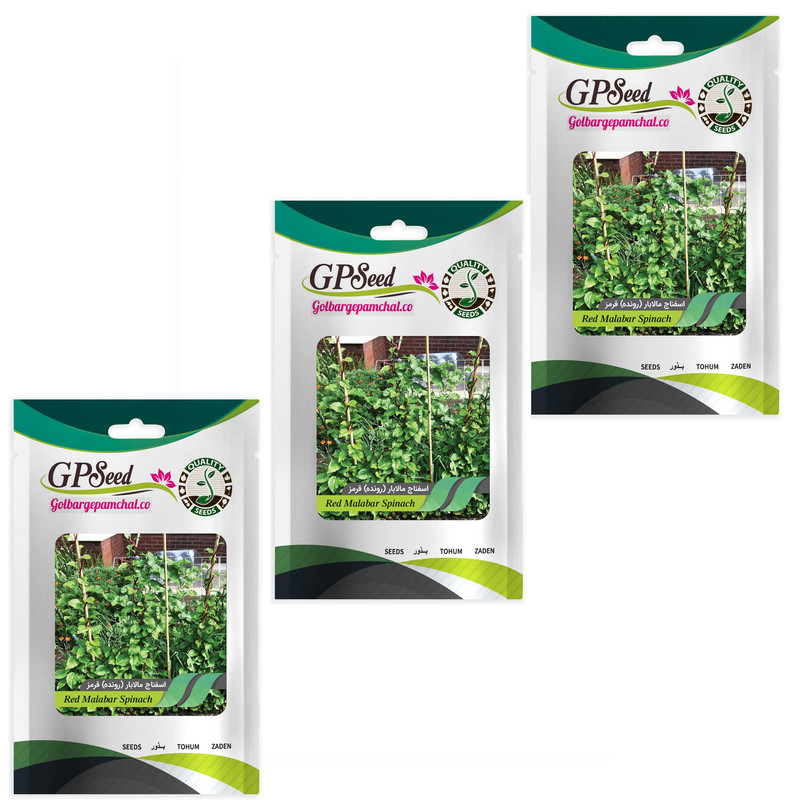 بذر اسفناج مالابار رونده قرمز گلبرگ پامچال کد GPF-304 مجموعه 3 عددی