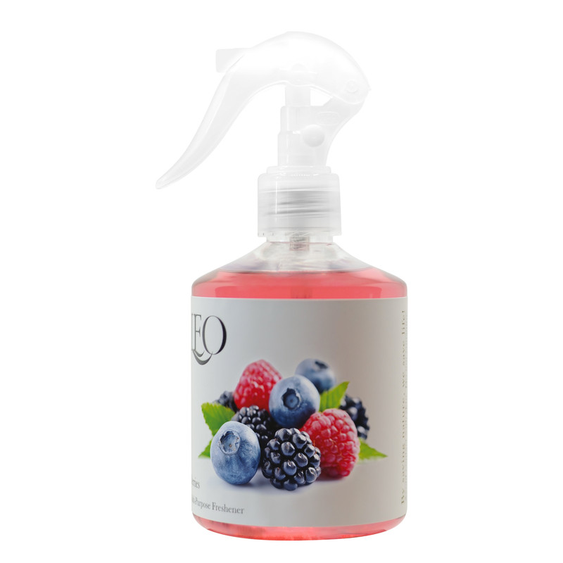 خرید و قیمت اسپری خوشبوکننده لئو مدل بری حجم 300 میلی لیتر