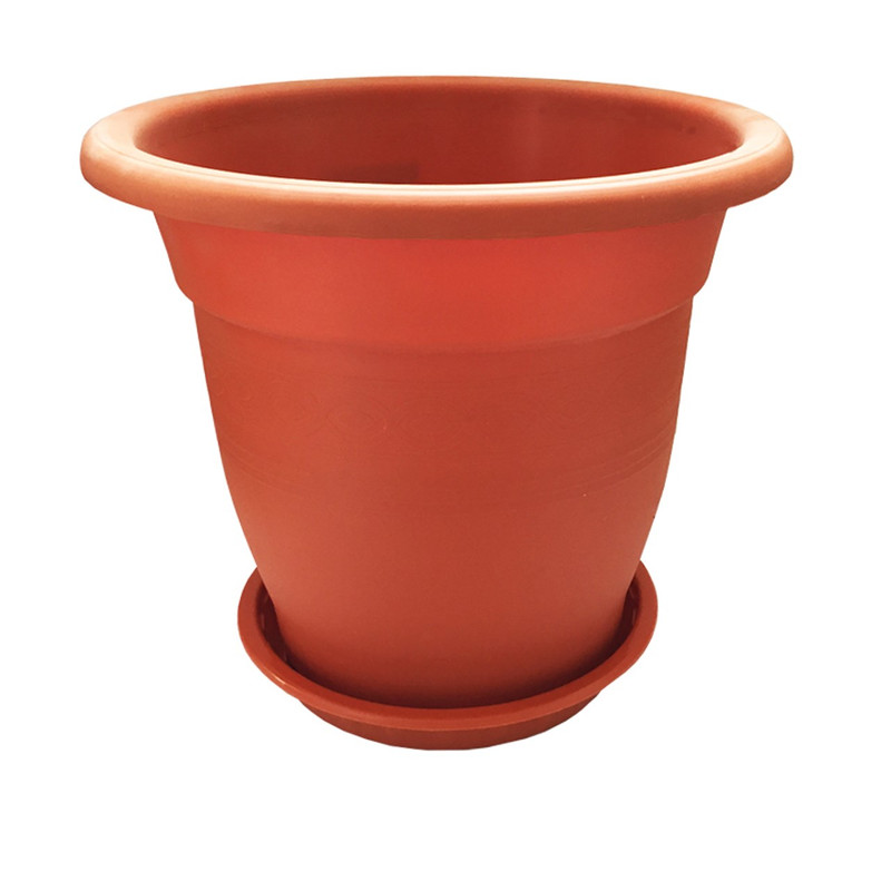 خرید و قیمت گلدان گلپونه مدل Benjamin 316