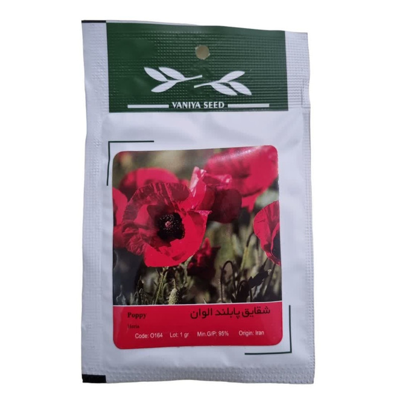 بذر گل شقایق پابلند الوان وانیا سید مدل BS459