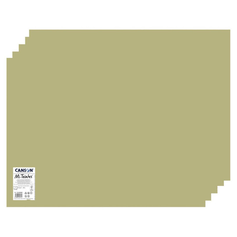 مقوا کانسون مدل Mi-Teintes کد 480 سایز 50x65 سانتی متر بسته 5 عددی