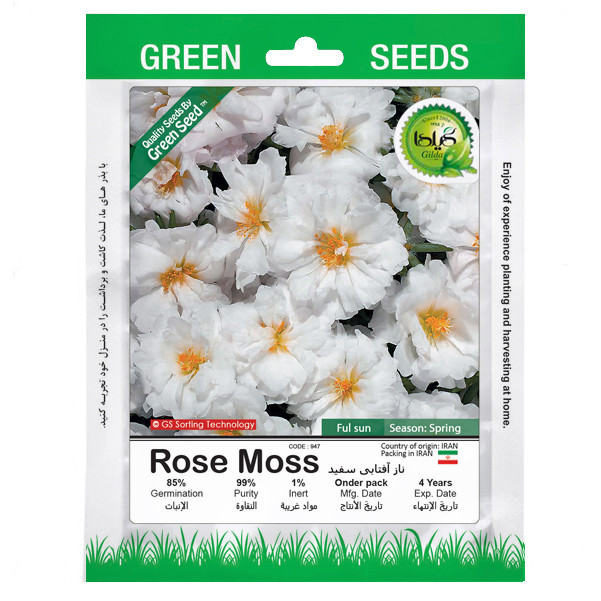 خرید و قیمت بذر ناز آفتابی سفید گیلدا کد 947