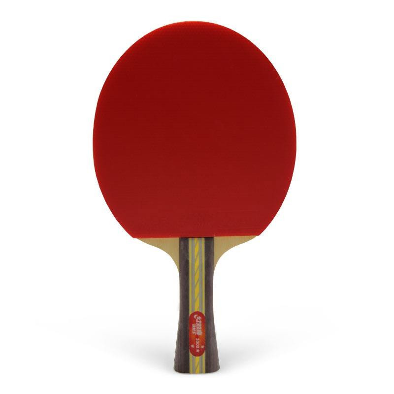 خرید و قیمت راکت پینگ پنگ دی اچ اس مدل 3002