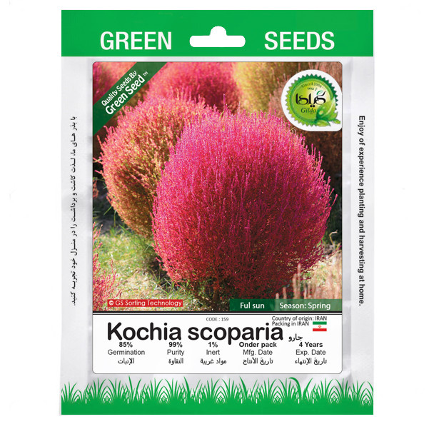 بذر جارو گیلدا کد 159