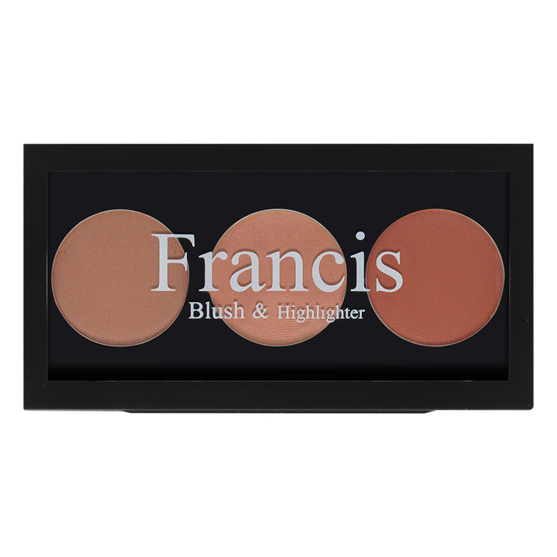 خرید و قیمت پالت رژ گونه و هایلایتر فرانسیس کد 06