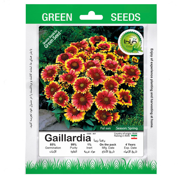 بذر رعنا زیبا گیلدا کد 807