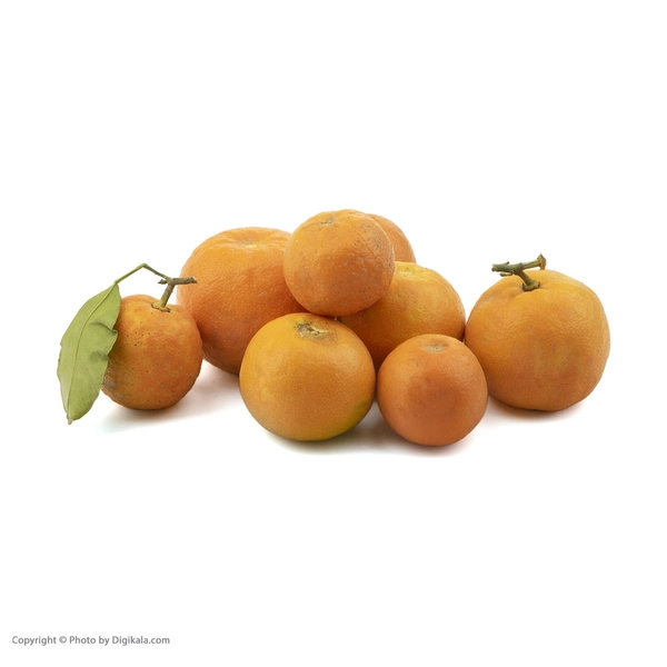 نارنج Fresh مقدار 1 کیلوگرم (حداقل 4 عدد) 11