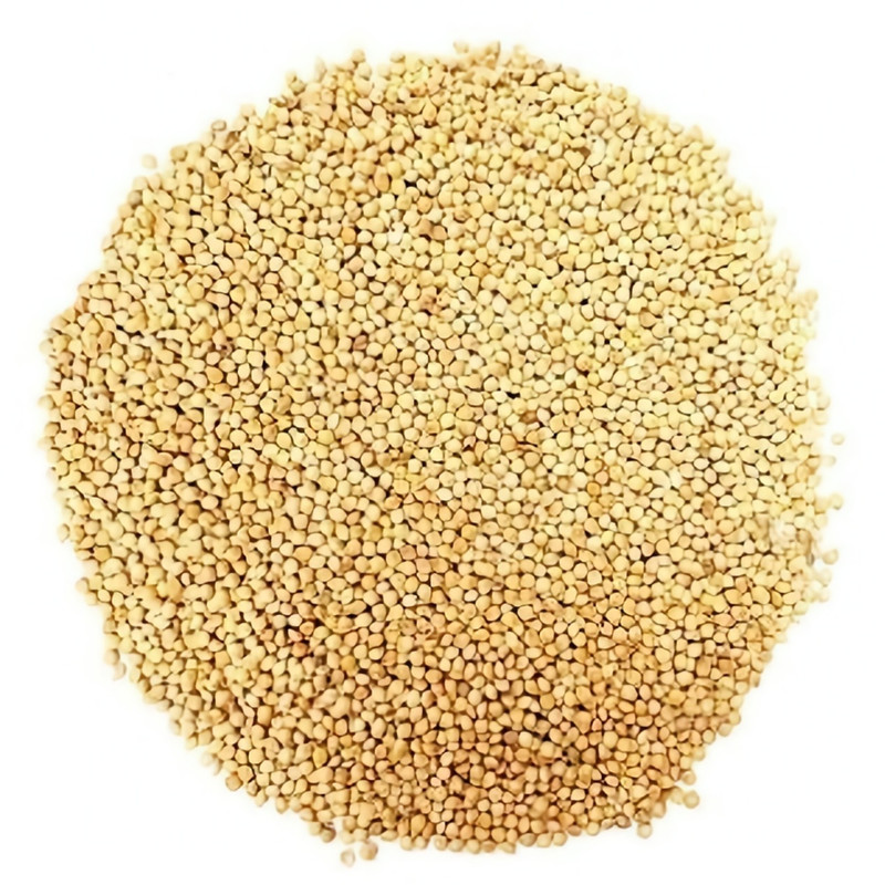 غذای پرندگان مدل ارزن وزن 5 کیلوگرم