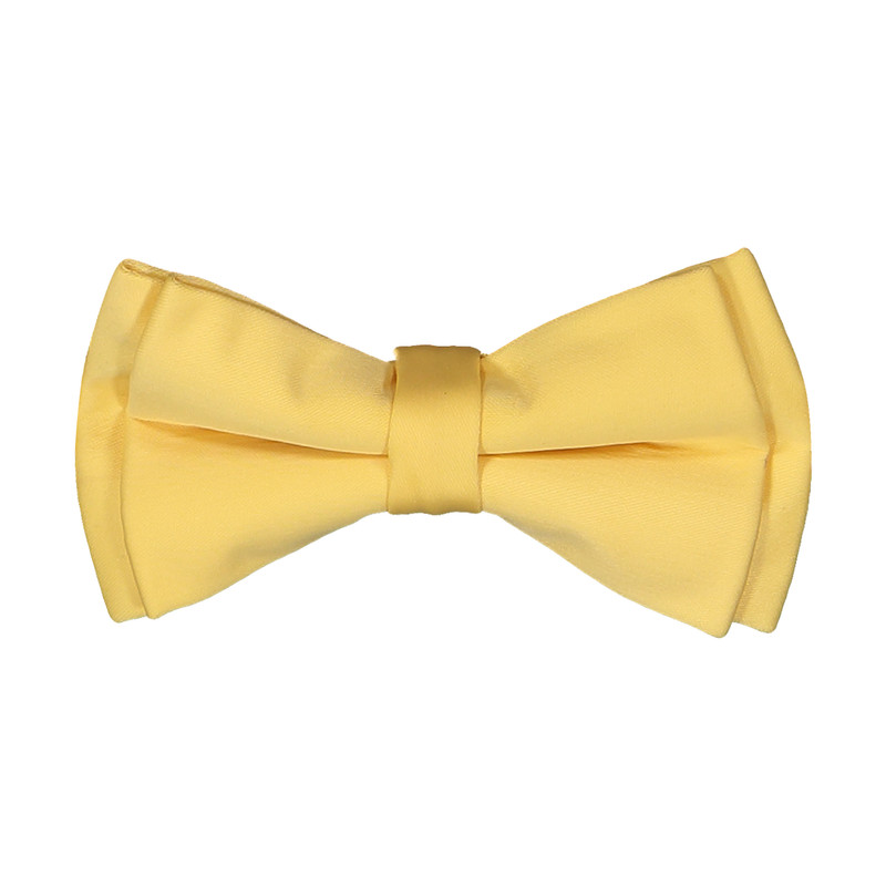 خرید و قیمت پاپیون مردانه پاترون مدل 1723107