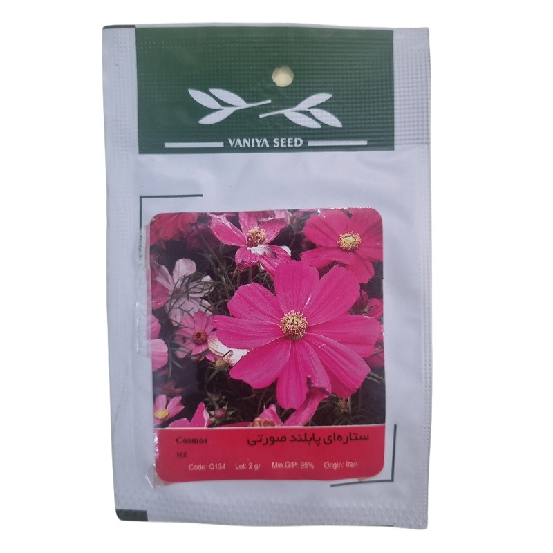 بذر گل ستاره ای پا بلند صورتی وانیا سید مدل BA1904