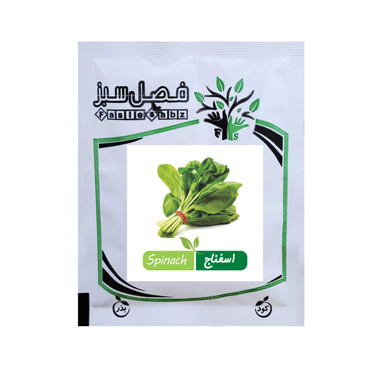 بذر اسفناج فصل سبز کد SEED-200g-13