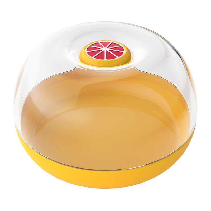 خرید و قیمت ظرف نگهدارنده ژویی مدل J-10013