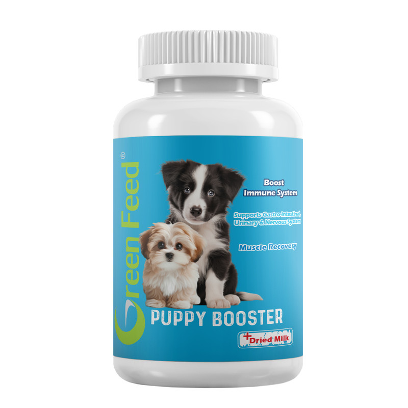 خرید و قیمت مکمل غذای سگ گرین فید مدل توله سگ وزن 250 گرم