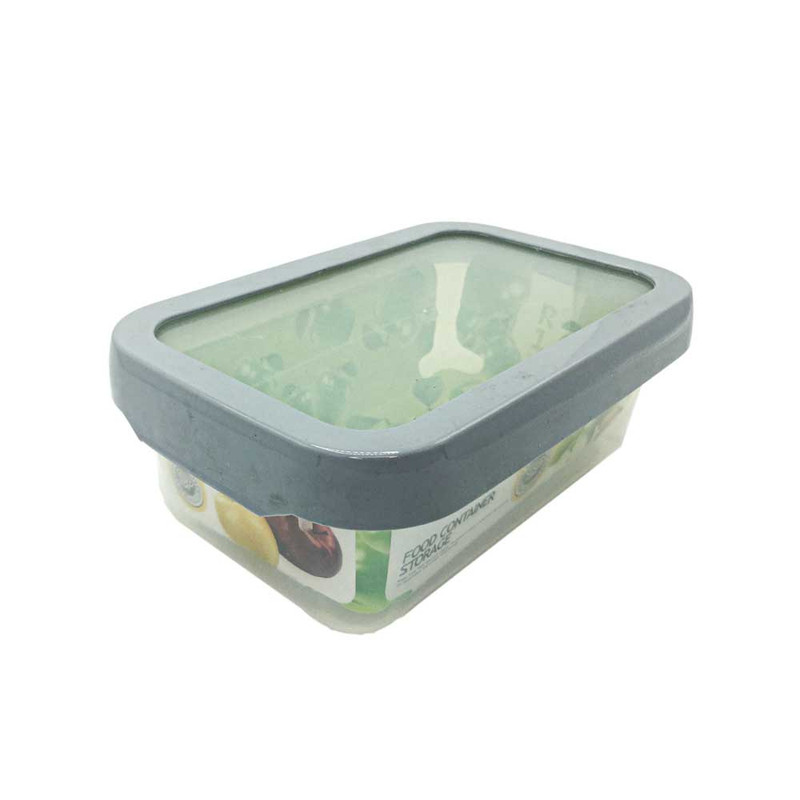 ظرف نگهدارنده کیپاسان مدل R1