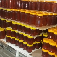 عسل طبیعی عمده 10 عدد 1 کیلویی بدون برچسب (خرید از زنبوردار نمونه و ارسال رایگان)