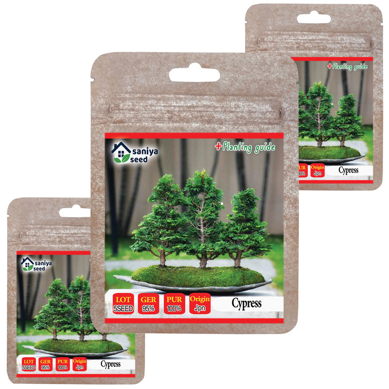 بذر بنسای سرو ژاپنی سانیا سید مدل B8 مجموعه 3 عددی