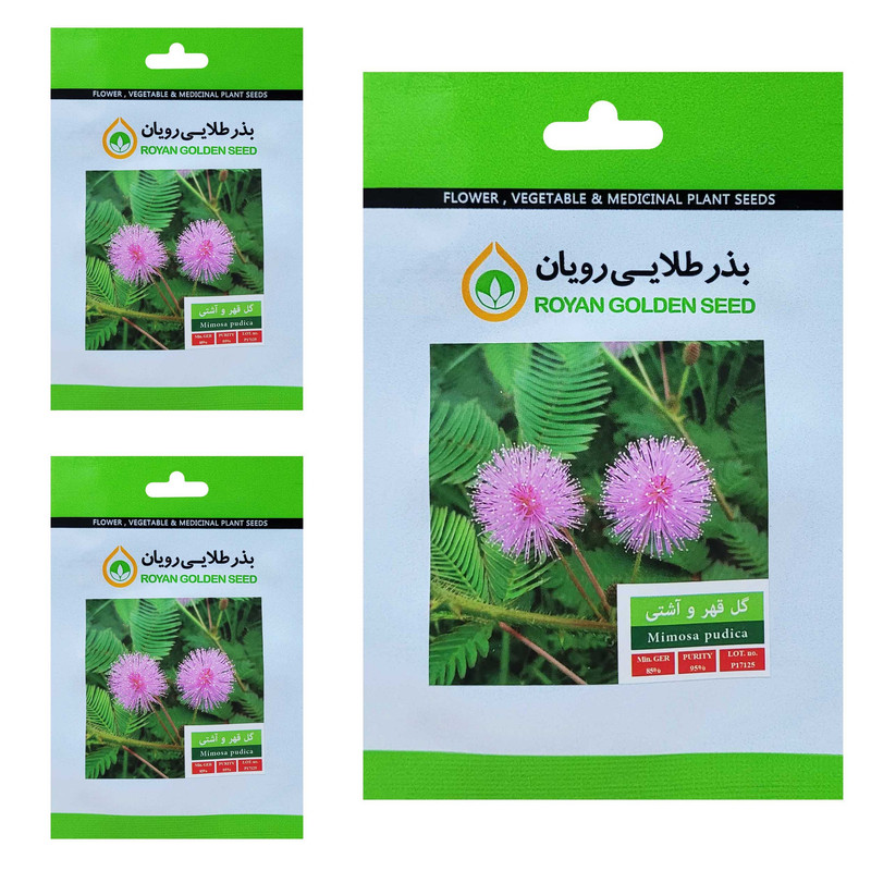 بذر گل قهر و آشتی بذر طلایی رویان کد BZT-155 مجموعه 3 عددی