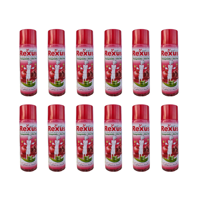 آبمیوه انار با تکه های آلوئه ورا کاپ دار رکسوس - 330 میلی لیتر بسته 12 عددی