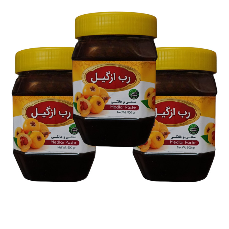 رب ازگیل سنتی جالینوس - 450 گرم بسته 3 عددی